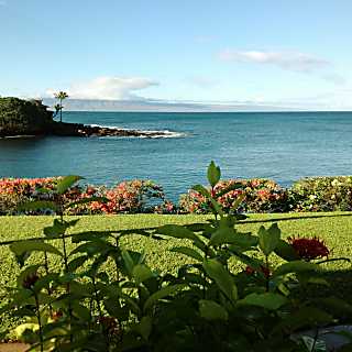 Napili Point Resort A16