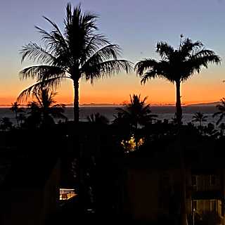 The Palms at Wailea 1202