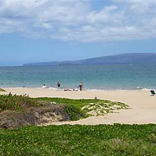 Kihei Town Condo Resort 8263
