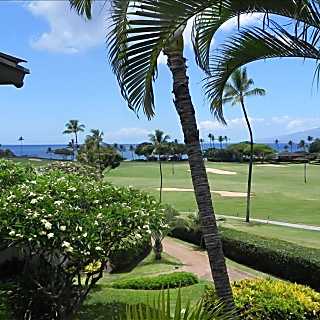 Maui Eldorado K213