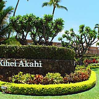 Kihei Akahi D505
