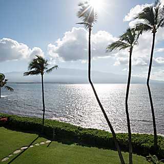 Ma'alaea Banyans with Haleakala Views