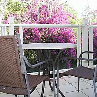 Wailea Treetop Studio Condo - Corner Unit