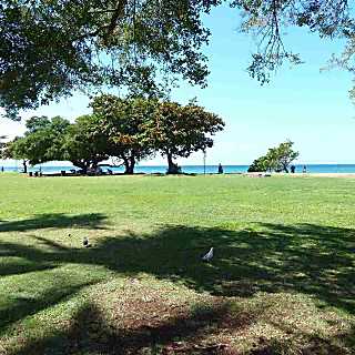 Honokowai Palms  B-5