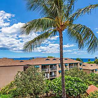 Maui Vista 2404