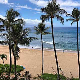 Kaanapali Alii Resort 346