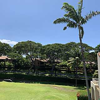 Palms at Wailea 1802