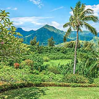 Hanalei Bay Resort Studio 8131