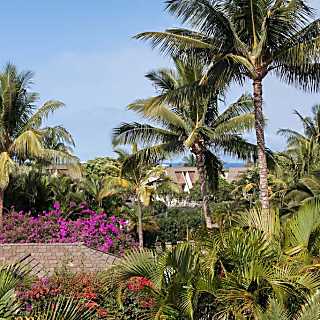 Maui Kamaole Vacation Condo