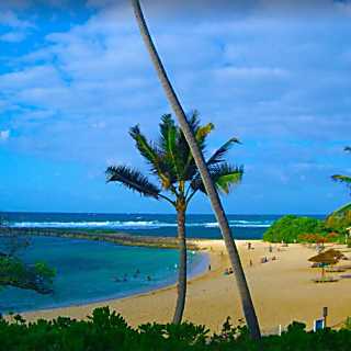 Honu Hale - Turtle House