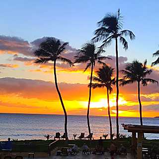 Sugar Beach Resort 208