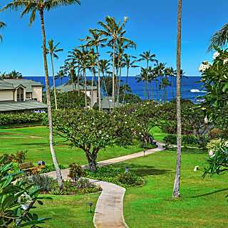 Kahala #621