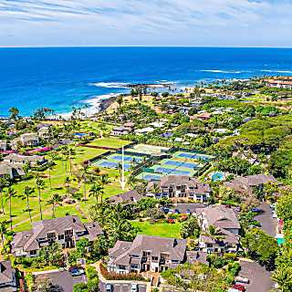 Kahala #322