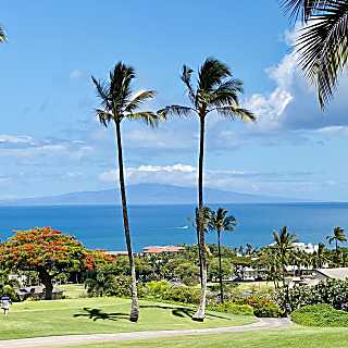 Wailea Ekolu 1508