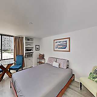 Hawaiian Monarch Studio 808