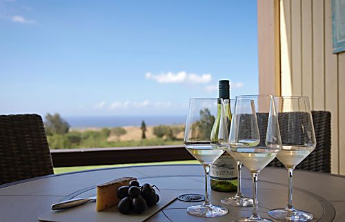 Waikoloa Village Retreat