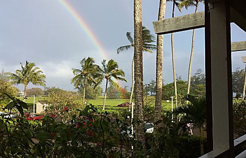 Banyan Harbor C-29