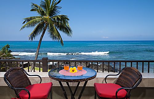 Banyan Tree 205