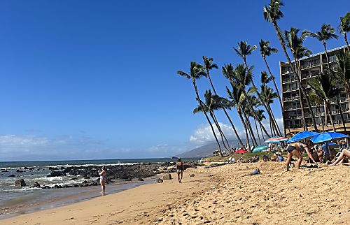 Hale Kamaole  BLDG 2 #116