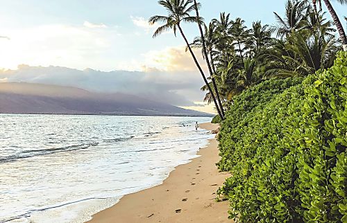 Maui Banyan 1 BR/2 BA