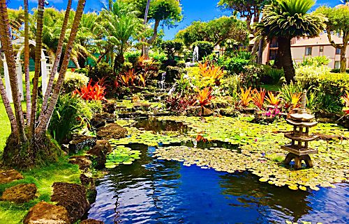 Pono Kai rental condo