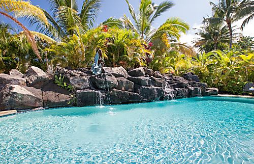 Kona House of Palms - KonaHOP