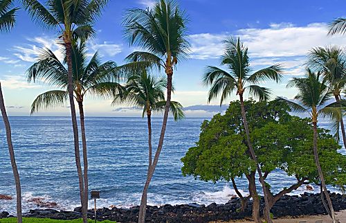 Kona Isle E31