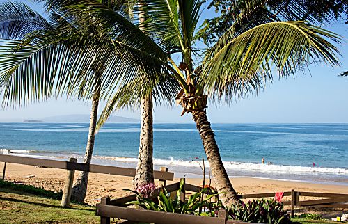 Hale Kamaole # 326