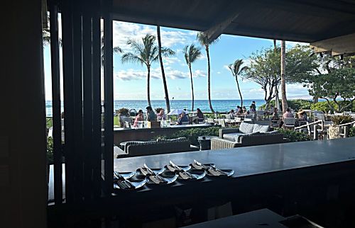 Little Slice of Paradise