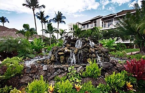 Best Value in Maui