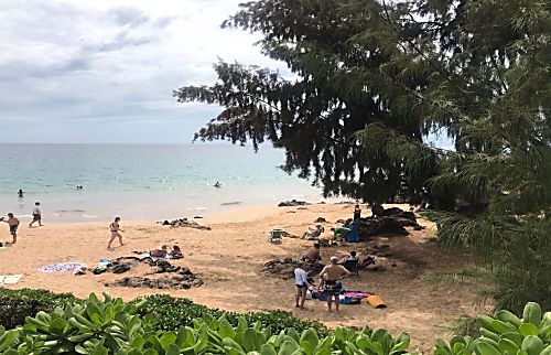 Kihei Paradise Condo Near Charley Young Beach