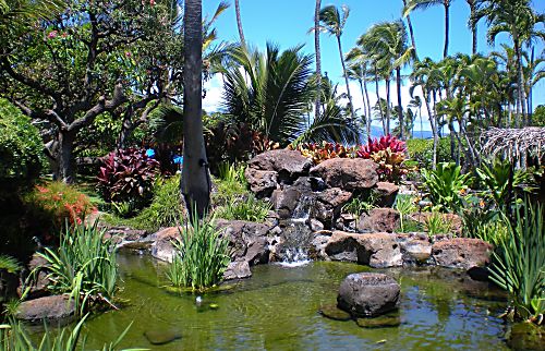 Napili Shores C121