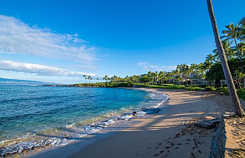 Kapalua Bay Villas 11G1
