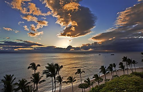 Royal Kahana 317