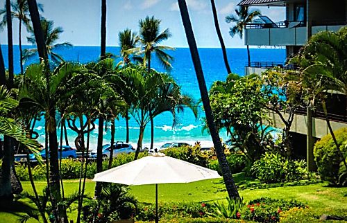 Paradise Found Magic Sands