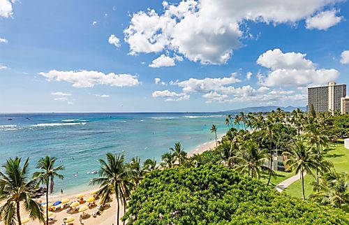 Waikiki Shore #704