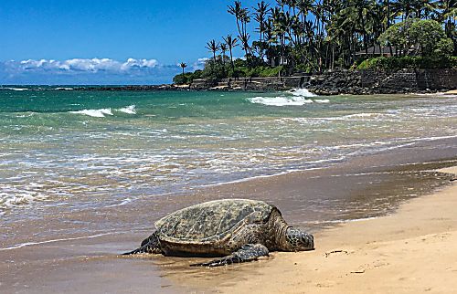 Grand Champions Wailea Villa