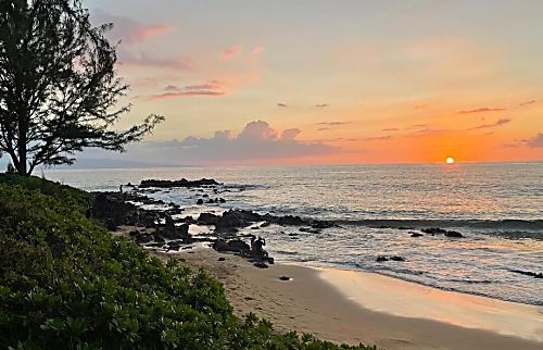 Hale Kamaole 270