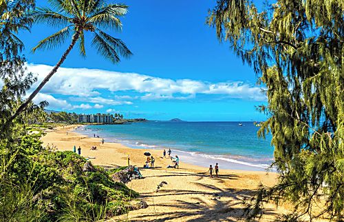 Kihei Akahi C609