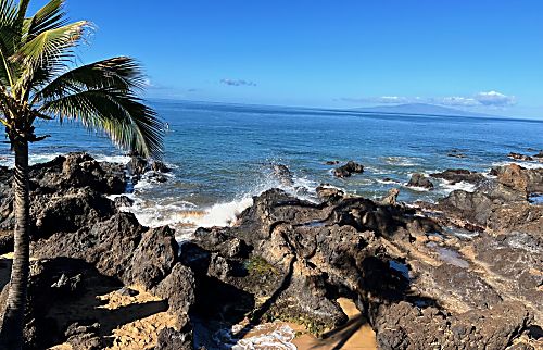 Pacific Shores rental condo