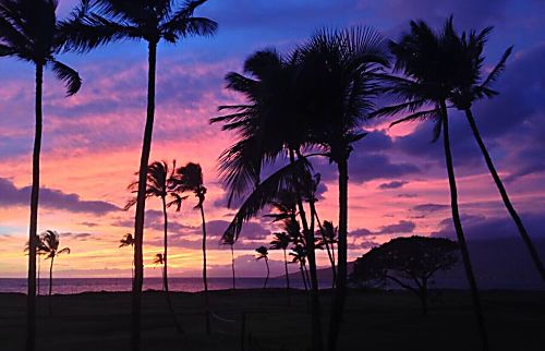 Kauhale Makai Oceanview Condo