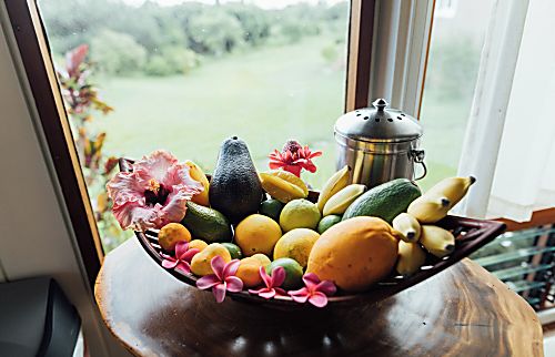 The Farm Cottage