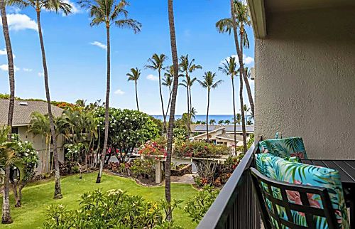 Kihei Akahi C308