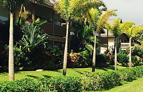 Princeville North Shore Studio 