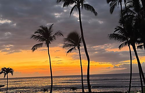 Menehune Shores #203