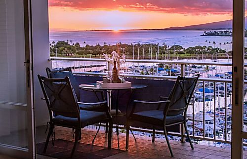 Ilikai Collection #1341