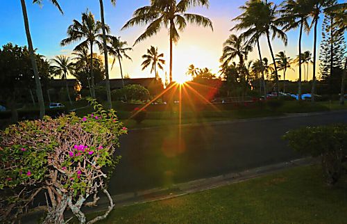 Kuilima Estates West 183