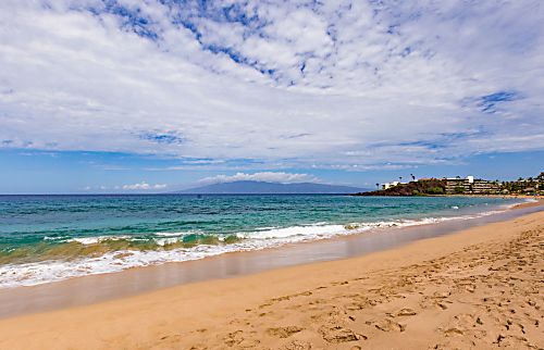 Whaler #1216 Ocean View Starting at $215