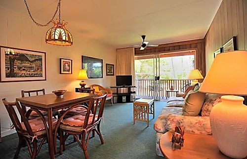 Honokowai Palms rental condo