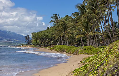 Waiohuli Beach Hale #122